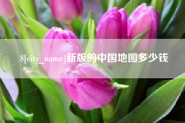 湘西新版的中国地图多少钱