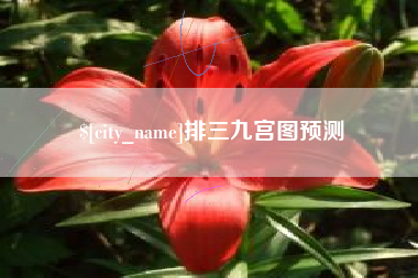 湘西排三九宫图预测