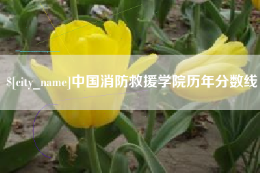 湘西中国消防救援学院历年分数线