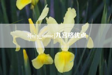 湘西九宫格优点