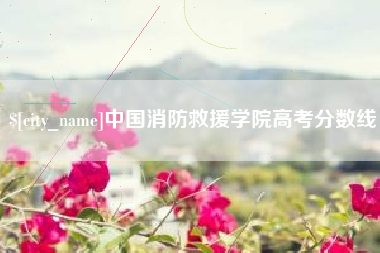 湘西中国消防救援学院高考分数线