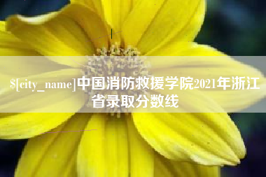 湘西中国消防救援学院2021年浙江省录取分数线