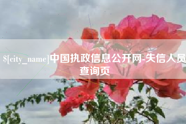 湘西中国执政信息公开网-失信人员查询页