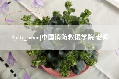 湘西中国消防救援学院 老师