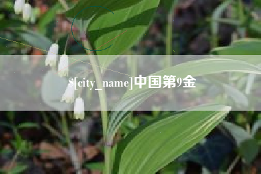 湘西中国第9金