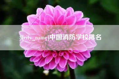 湘西中国消防学校排名