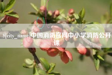 湘西中国消防官网中小学消防公开课