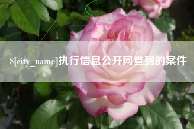 湘西执行信息公开网查到的案件