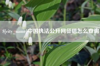 湘西中国执法公开网征信怎么查询