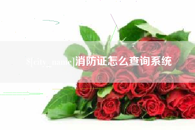 湘西消防证怎么查询系统