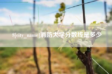 湘西消防大学分数线是多少