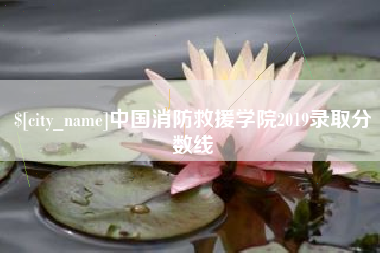 湘西中国消防救援学院2019录取分数线