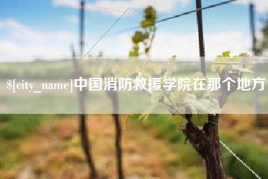 湘西中国消防救援学院在那个地方