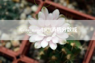 湘西2021消防分数线