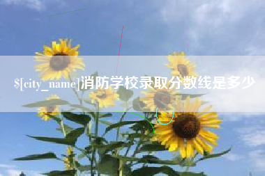 湘西消防学校录取分数线是多少
