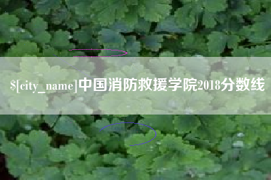 湘西中国消防救援学院2018分数线