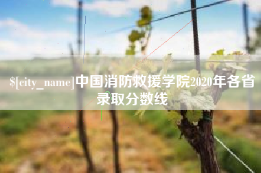 湘西中国消防救援学院2020年各省录取分数线