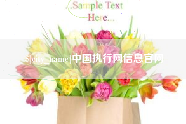 湘西中国执行网信息官网