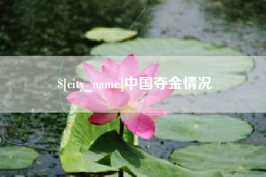 湘西中国夺金情况
