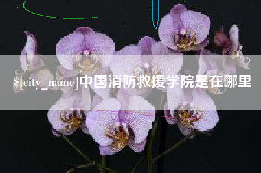 湘西中国消防救援学院是在哪里