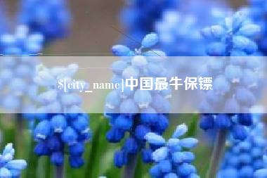 湘西中国最牛保镖
