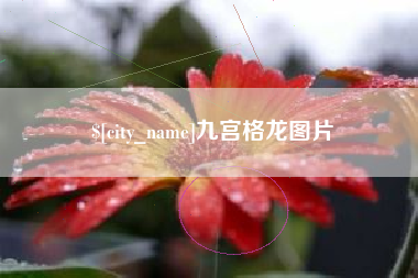 湘西九宫格龙图片