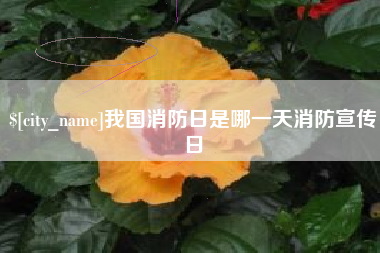 湘西我国消防日是哪一天消防宣传日