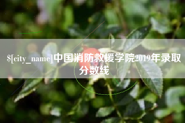 湘西中国消防救援学院2019年录取分数线