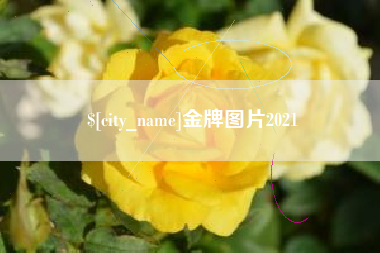 湘西金牌图片2021