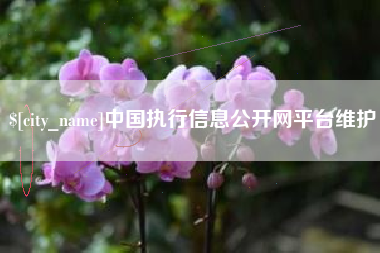 湘西中国执行信息公开网平台维护