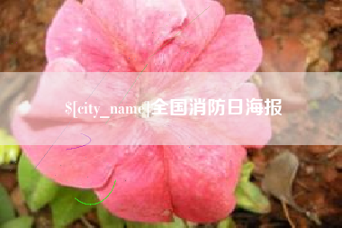 湘西全国消防日海报