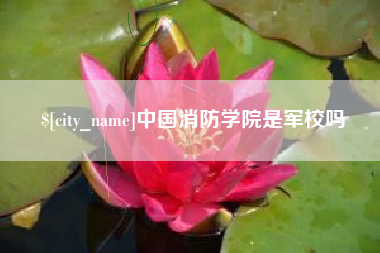 湘西中国消防学院是军校吗