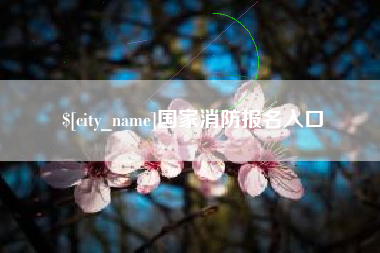 湘西国家消防报名入口