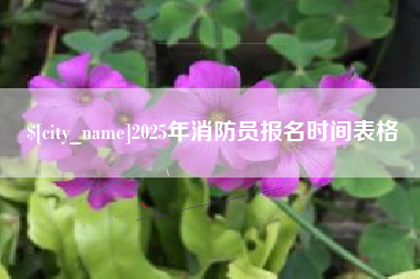 湘西2025年消防员报名时间表格