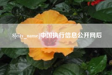湘西中国执行信息公开网后
