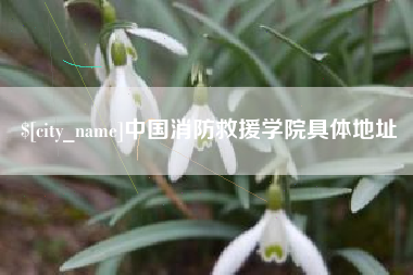 湘西中国消防救援学院具体地址