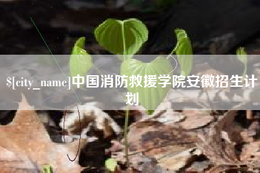 湘西中国消防救援学院安徽招生计划