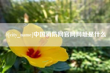 湘西中国消防网官网网址是什么