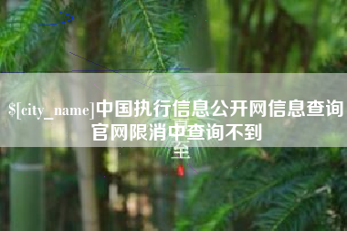 湘西中国执行信息公开网信息查询官网限消中查询不到