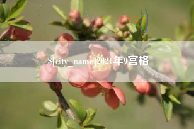 湘西2021年9宫格