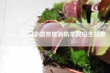 湘西中国救援消防学院招生简章