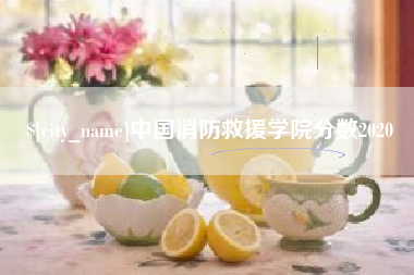 湘西中国消防救援学院分数2020