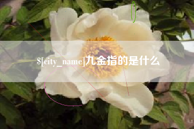 湘西九金指的是什么