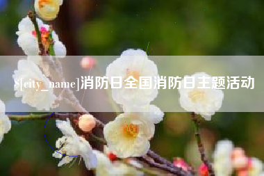 湘西消防日全国消防日主题活动