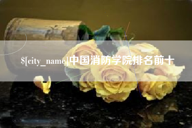 湘西中国消防学院排名前十