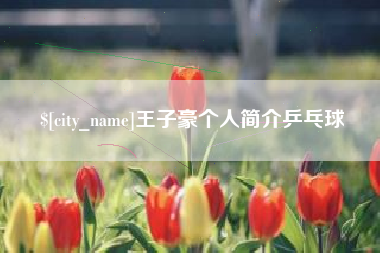 湘西王子豪个人简介乒乓球