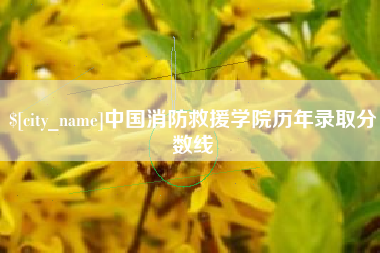 湘西中国消防救援学院历年录取分数线