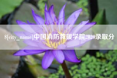 湘西中国消防救援学院2020录取分