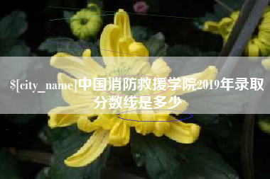 湘西中国消防救援学院2019年录取分数线是多少