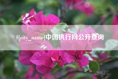 湘西中国执行网公开查询